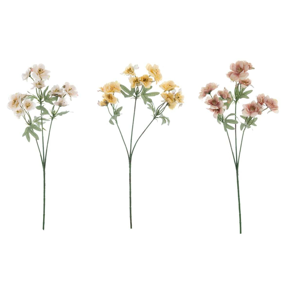 DECORO FLOREALE ASS. BLANC MARICLO'