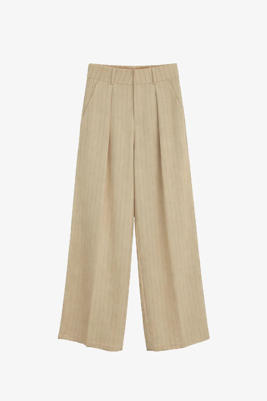PANTALONI A RIGHE SOTTILI CON PIEGHE  -  NKN